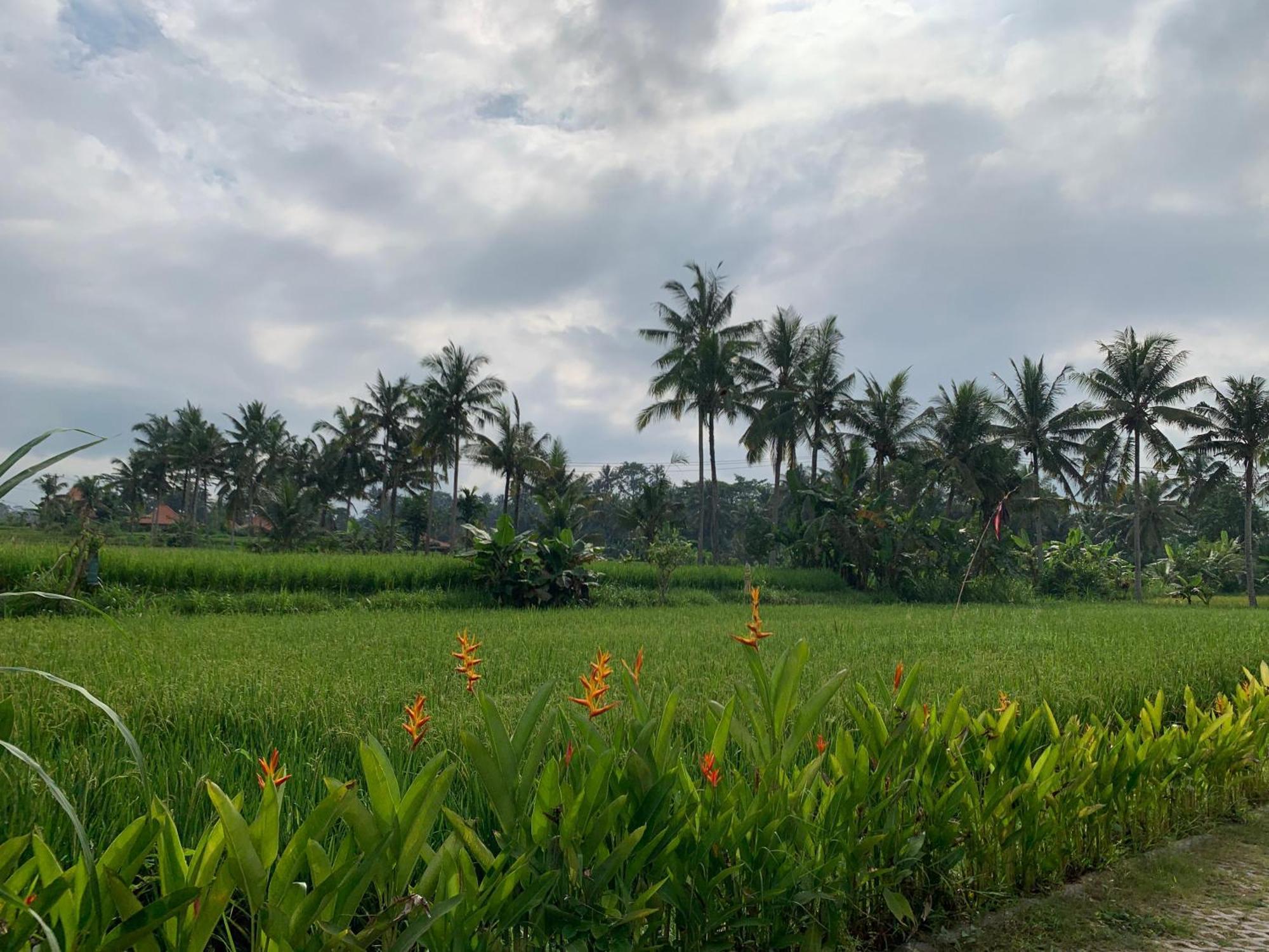 Adi Laxmi Villa Ubud Exterior foto